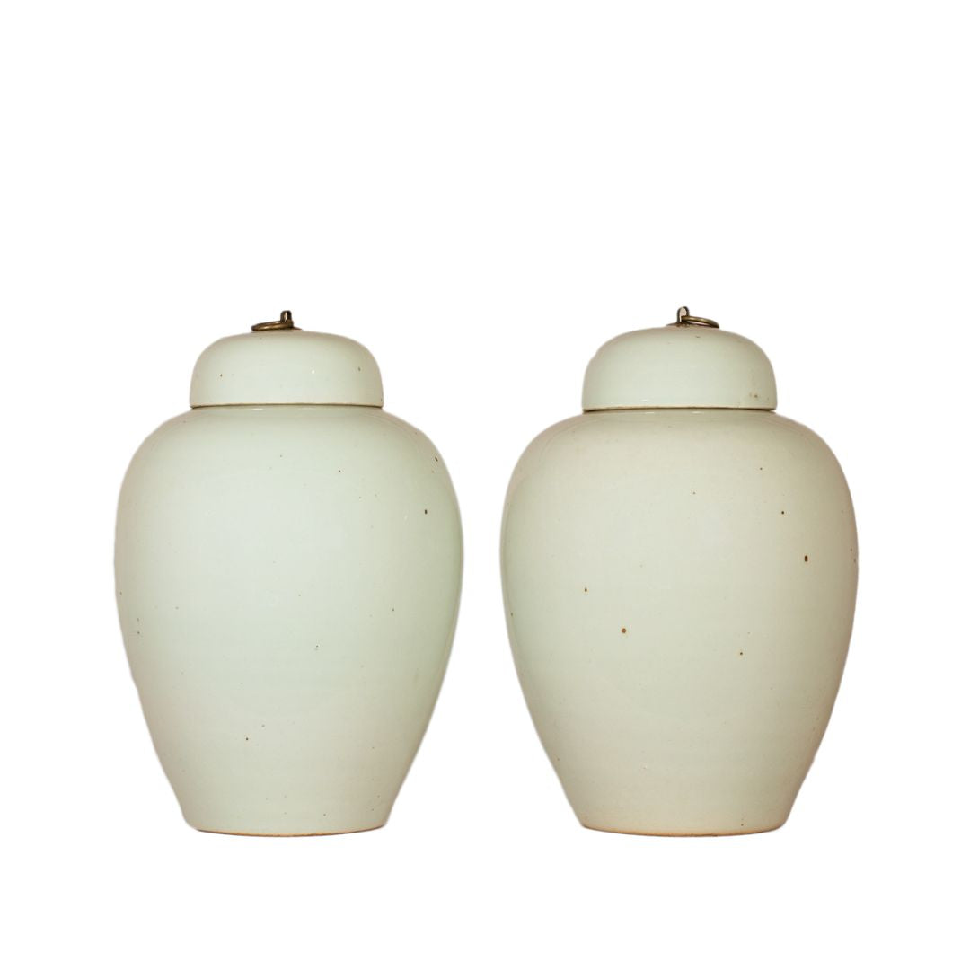 Blanc de Chine Porseleinen Potten - Paar