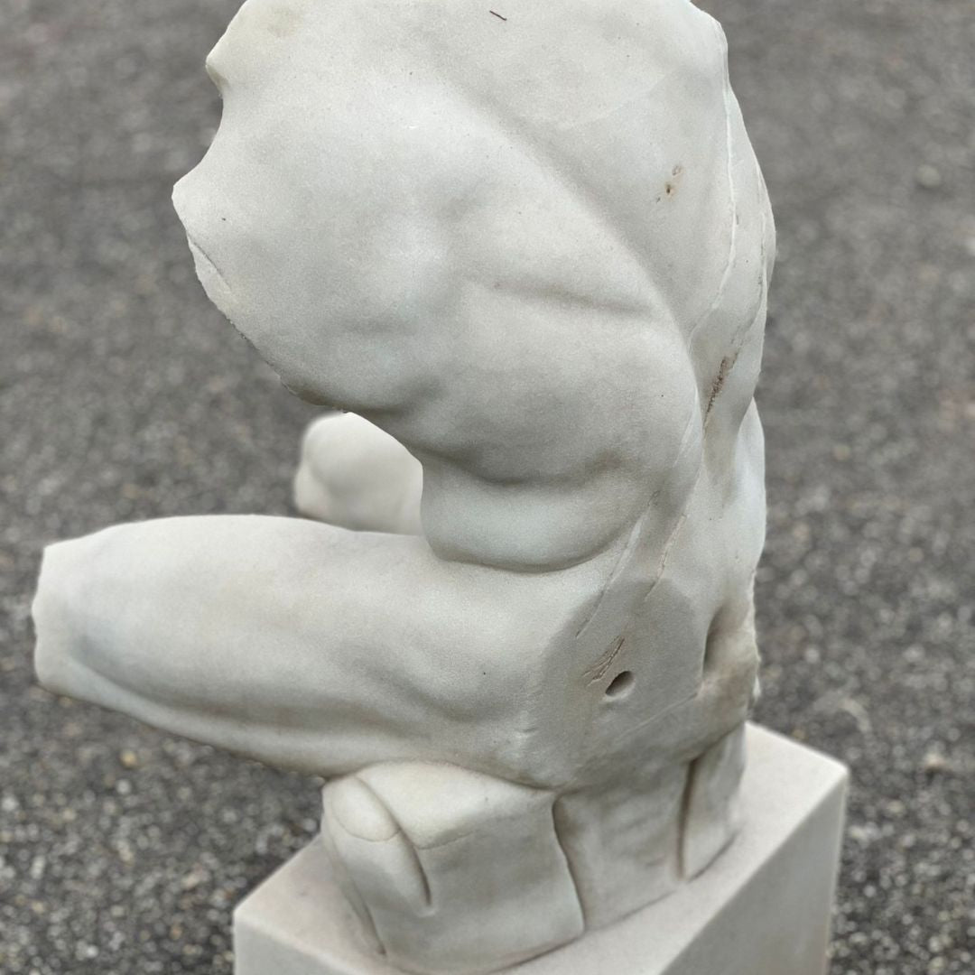 Romeinse Marmeren Torso van het Belvedere