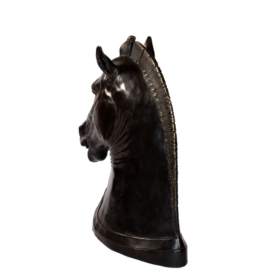 Klassiek Paardenhoofd