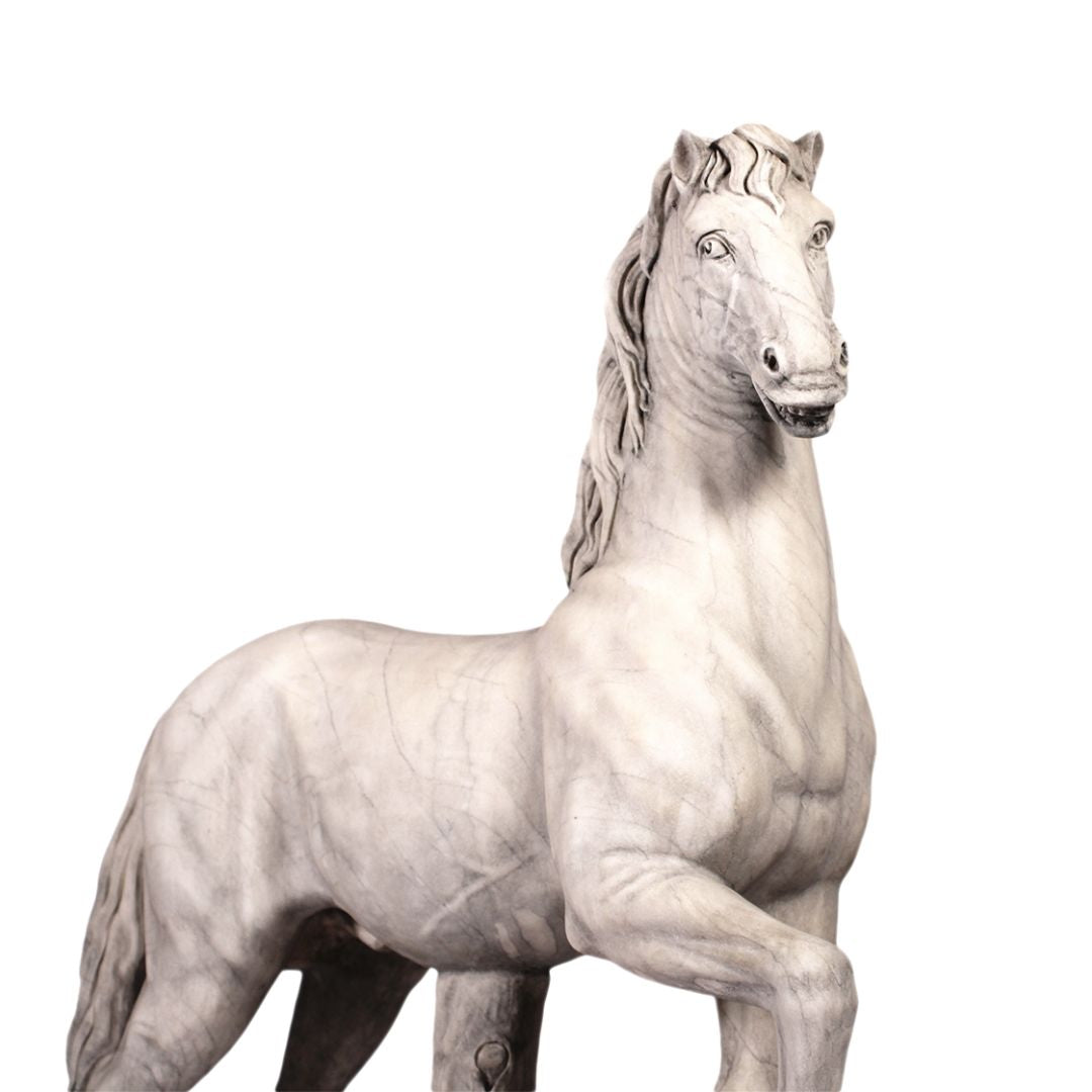 White marble horse sculpture close-up of upper part from Roman stallion statue