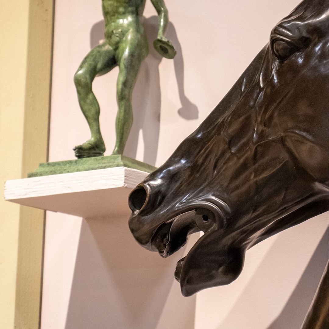 Klassiek Paardenhoofd