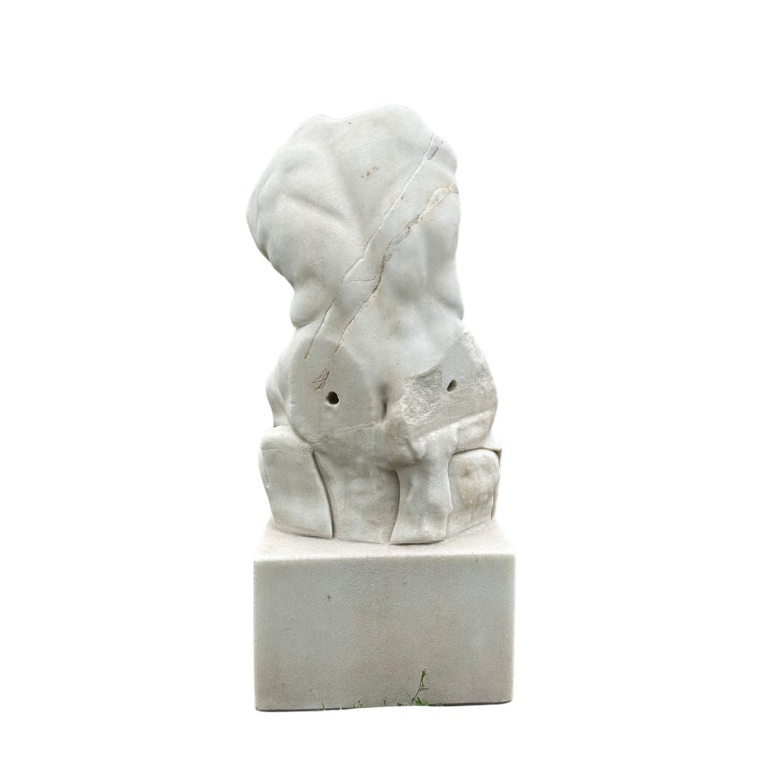 Romeinse Marmeren Torso van het Belvedere